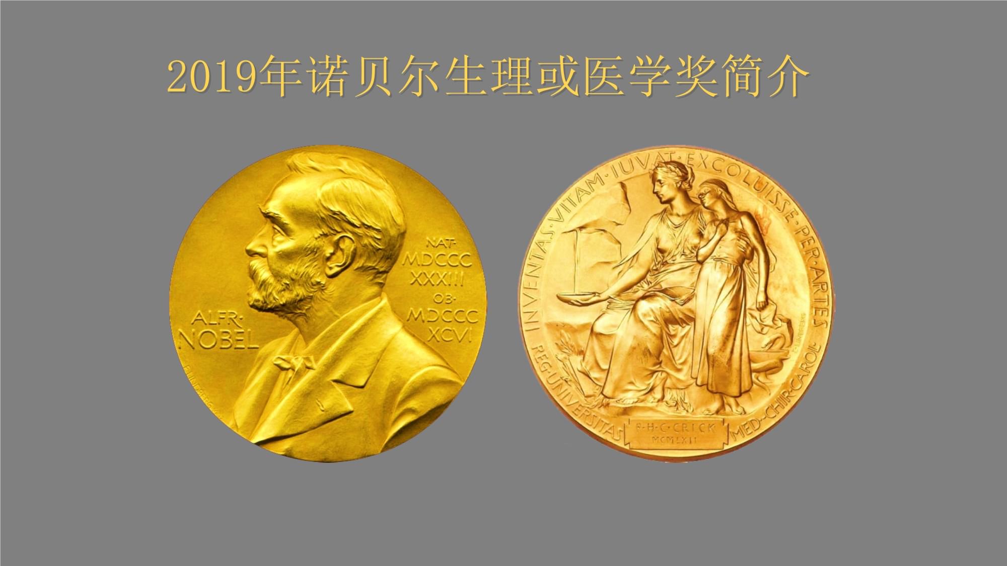 万寿集团_万寿集团_万寿集团_万寿集团_万寿集团_万寿集团_万寿集团_万寿集团_万寿集团_万寿集团_万寿集团_万寿集团 万寿集团_万寿集团_万寿集团_万寿集团_万寿集团_万寿集团_万寿集团_万寿集团_万寿集团_万寿集团_万寿集团_万寿集团